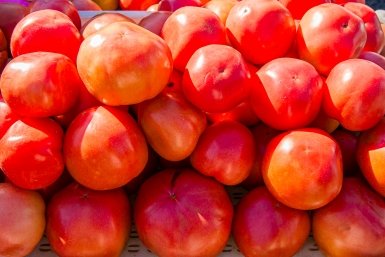 Вкусные, сладкие и сахарные томаты, которые сажаю каждый год на своём огороде — проверенные сорта