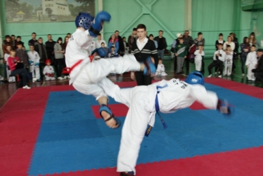 Чемпионат и первенство ДФО Пресс-служба Законодательного Собрания ЕАО