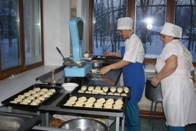 Школьные столовые &quotпереели&quot 200 тысяч рублей, выделенных на соцзащиту детей в Биробиджане ИА ЕАОmedia, Владимир Иващенко