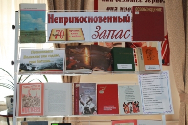 &quotНеприкосновенный запас&quot открыли в научной библиотеке в Биробиджане Областная универсальная научная библиотека им. Шолом-Алейхема