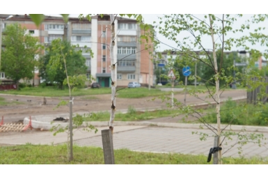 Жилй дом Наталья Баграновская