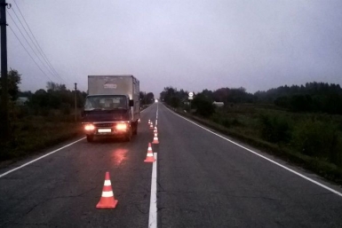 Водитель грузовика не заметил в тумане пешехода и сбил его насмерть на трассе в ЕАО областная ГИБДД