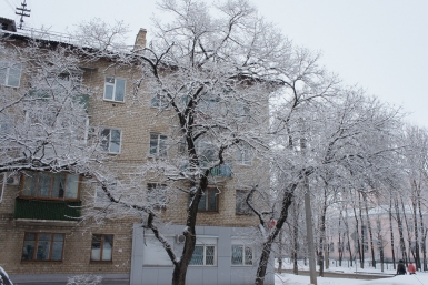 Снегопад в Биробиджане Скачков Юрий, ИА EAOmedia