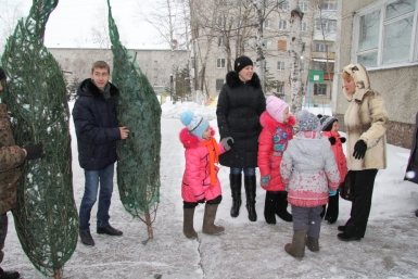 Колючие красавицы уже вручены нескольким детским домам, интернатам, детсадам и школам области Пресс-служба управления лесам