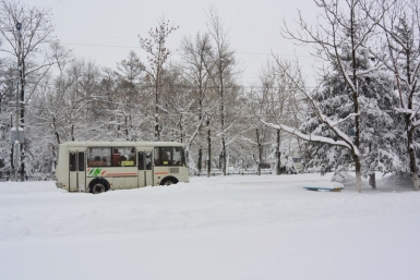 Муниципальные автобусы не прервут сообщение на новогодних каникулах в Биробиджане Константин Земляникин