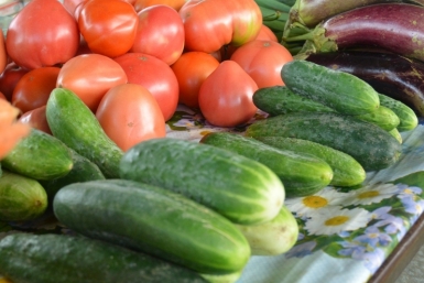 Продуктовая корзина в прошлом году подорожала на 7,1% в ЕАО Наталья Баграновская
