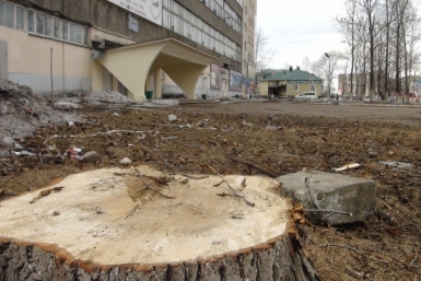Биробиджан простится не только со статусом чистого, но и самого зеленого города – наркорр ИА EAOmedia