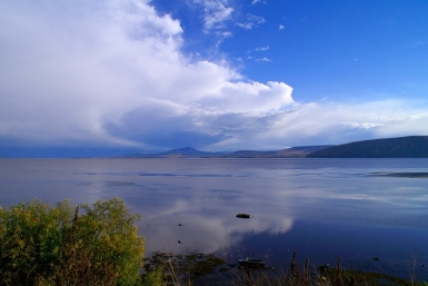 Река Амур Из открытых источников