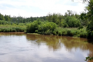 Вода в реке становится мутной Народный корреспондент