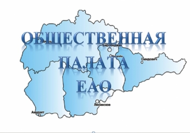 Деятельность Общественной палаты ЕАО. Развитие гражданского общества в регионе