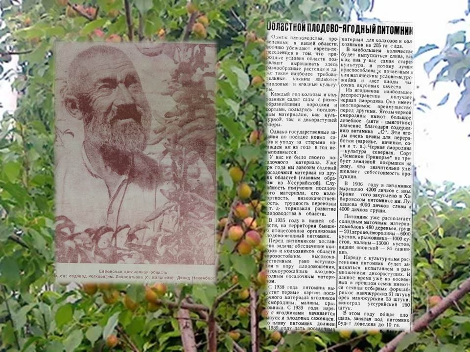 7 сентября в ЕАО: история села Дубовое, образование ДОСААФ, плодово-ягодный питомник