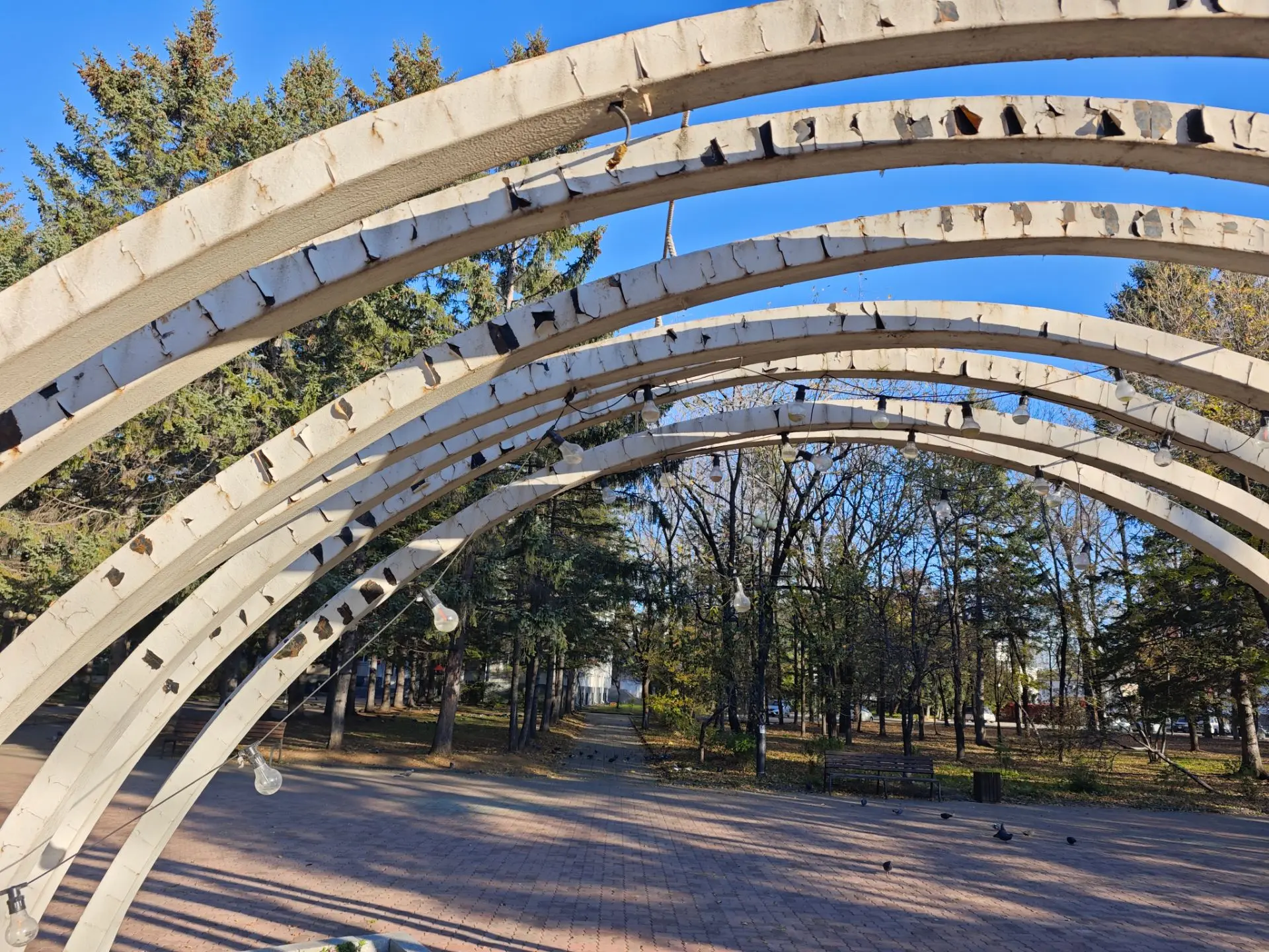 В зону эстетического бедствия превратилась Площадь Дружбы в Биробиджане наркорр ИА ЕАОMedia